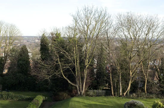 Airbnb apartment in 1930s Taymount Grange, London SE23