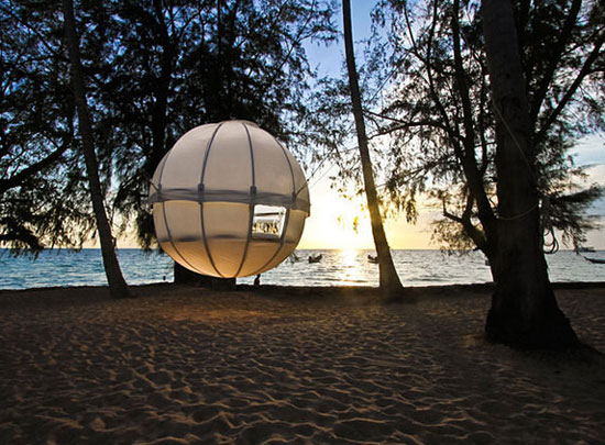 Cocoon Tree - a stylish, modern-day tree house