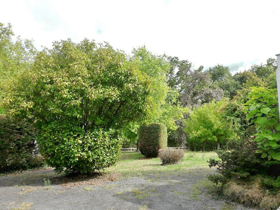 Affordable modernism: 1970s three-bedroom property in Salies-de-Bearn, south west France