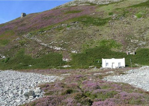 island4 Ailsa Craig island and cottages on the outer Firth of Craig, Scotland