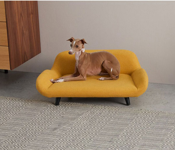 Midcentury modern pet sofas now available at Made