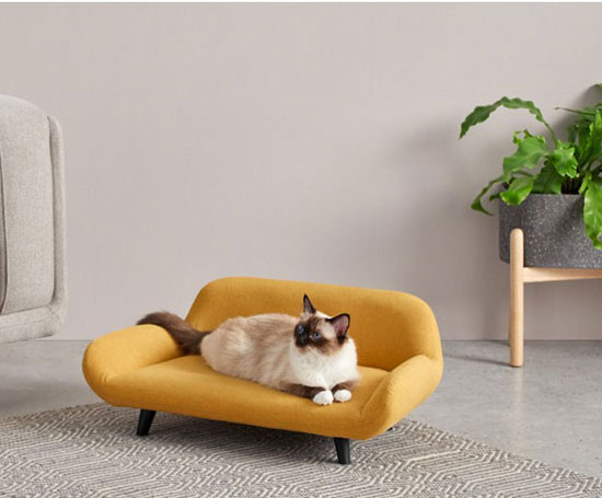 Midcentury modern pet sofas now available at Made