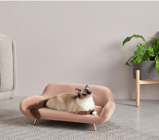 Midcentury modern pet sofas now available at Made