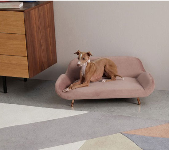 Midcentury modern pet sofas now available at Made