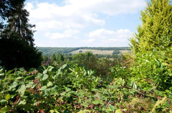 1960s midcentury-style single-storey property in Westcott, Surrey